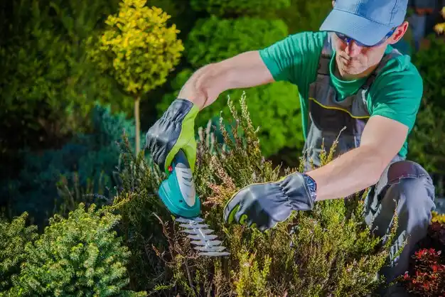 landscaping services Hardwood Acres